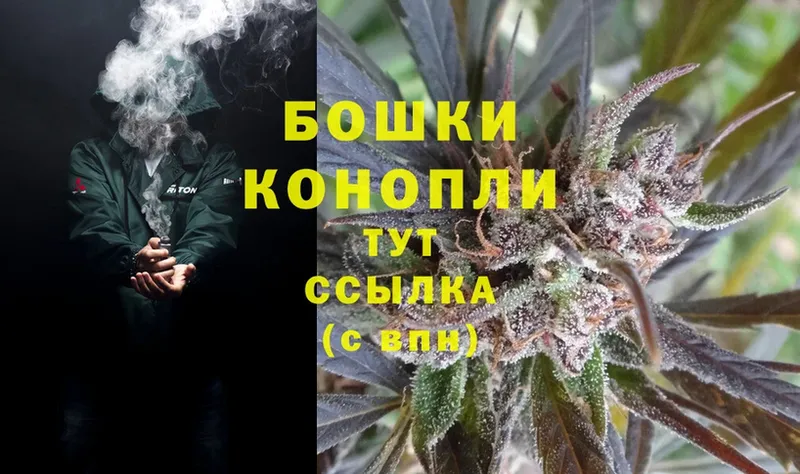 Конопля SATIVA & INDICA  купить наркотик  Сретенск 